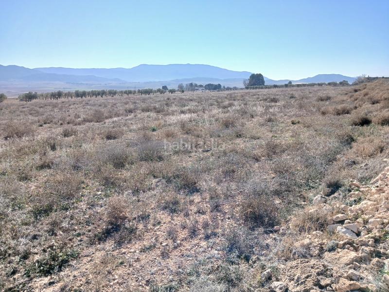 Foto 5a47b1e6-aac2-4ab5-9b15-3d6e09b7b6a6. Terreno residencial en Yecla