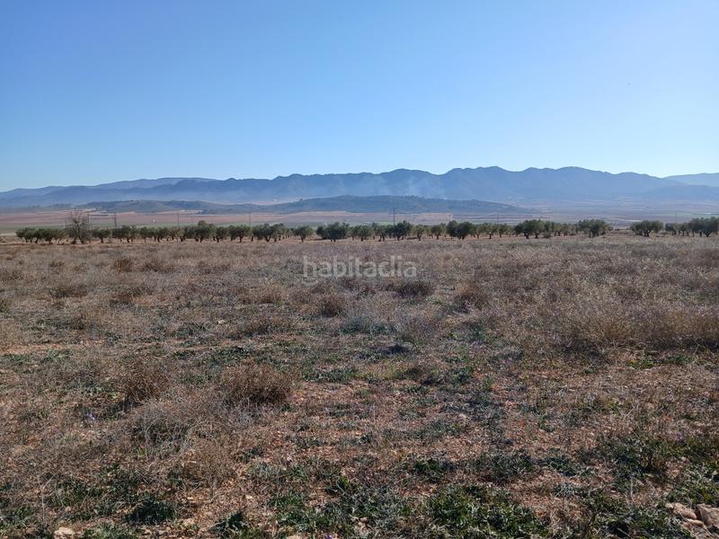 Foto 7809a4ae-9ef9-4133-bbea-dc8891ded47c. Terreno residencial en Yecla