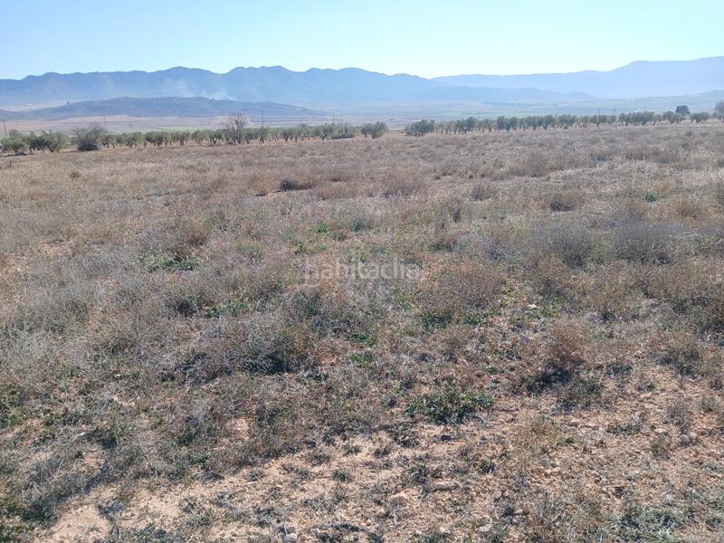 Foto 7e5196f4-761b-406d-a994-621ef8c641b7. Terreno residencial en Yecla