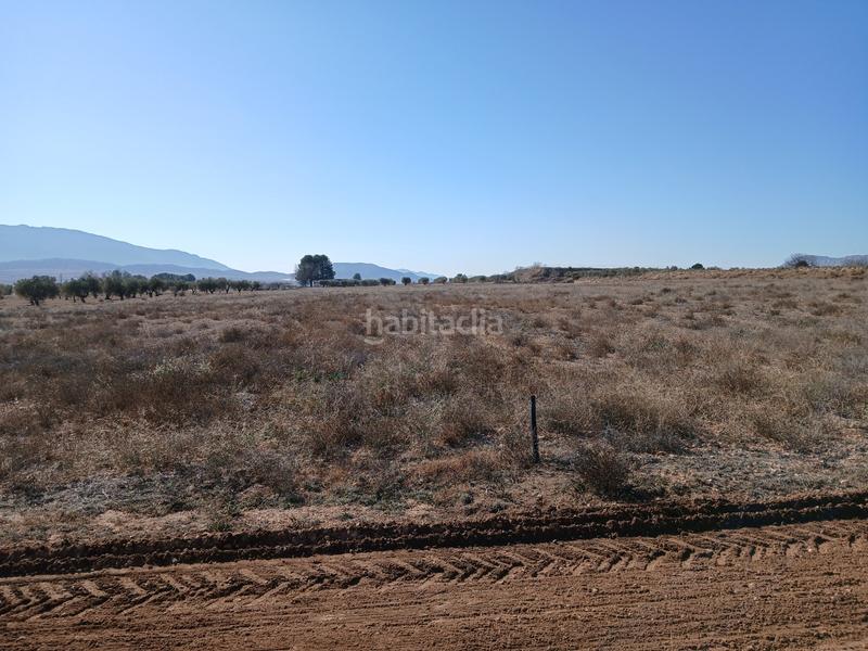 Foto d51aa144-984d-4386-9ffe-2f496d0f803c. Terreno residencial en Yecla