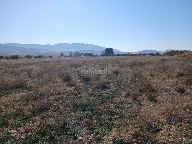 Foto 12d0c609-0d66-4ad3-8386-0a2b0a5edba7. Residential plot in Yecla