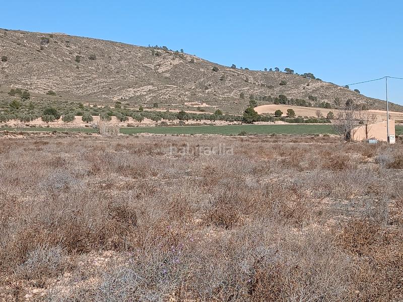 Foto 17d6c3b4-cea1-4ae1-b8b1-9cecb56fd6a3. Residential plot in Yecla