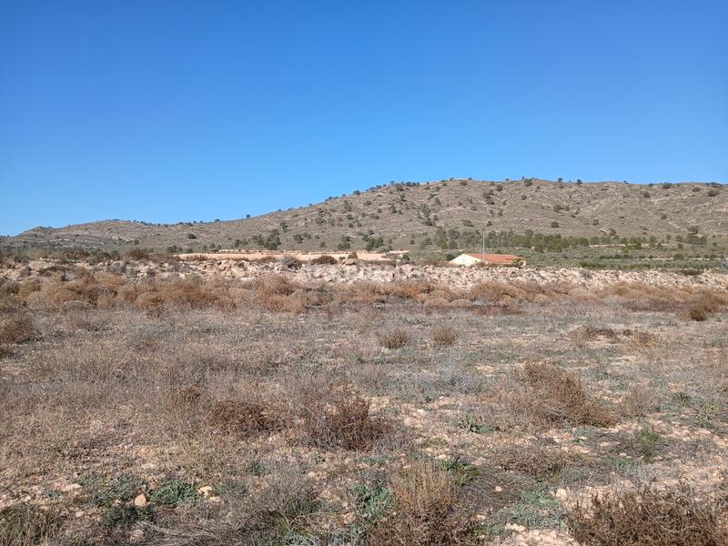 Foto 1f95870f-e602-497e-ab66-2236da3255bb. Residential plot in Yecla