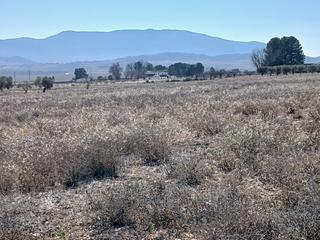 Residential Plot in Yecla
