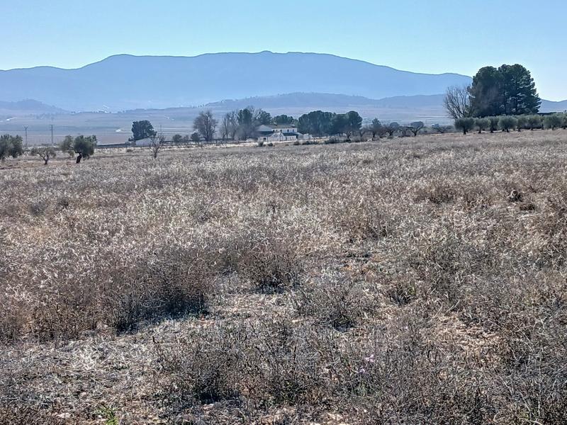 Foto bee580e5-a0fb-46e0-8651-ea10eb653df8. Residential plot in Yecla