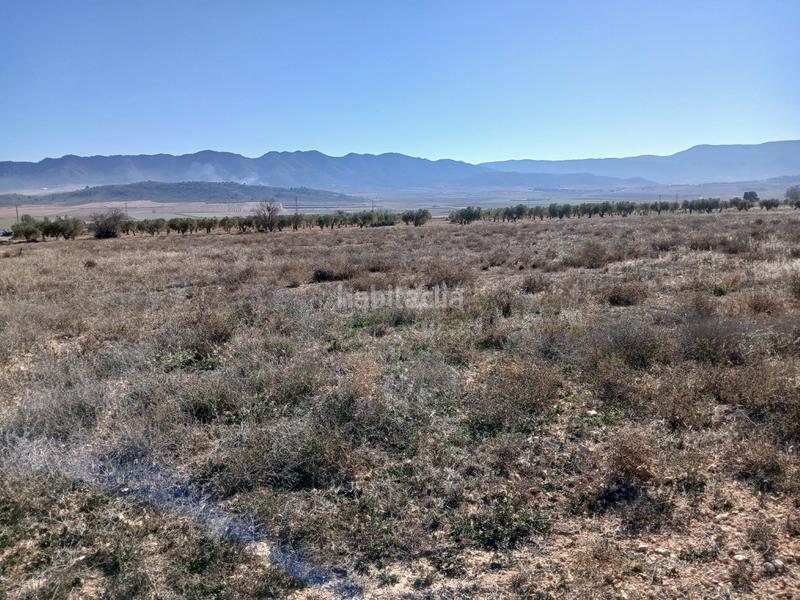 Foto f1dedc62-7ed8-4752-999f-9348bd7d6dc8. Residential plot in Yecla