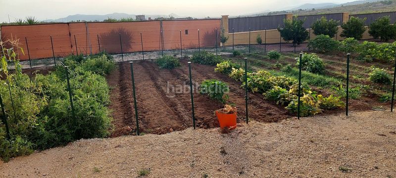 Foto 60e78005-943f-4ac7-a8d8-baa7a4fdcbe4. Casa a Pinoso