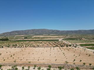 Terreny residencial a Pinoso