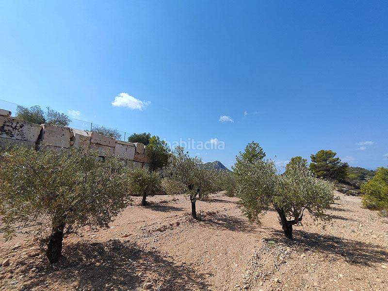 Foto 1c8f2470-d59c-4fff-b1ee-790d96fcb692. Casa con parcheggio in Fortuna