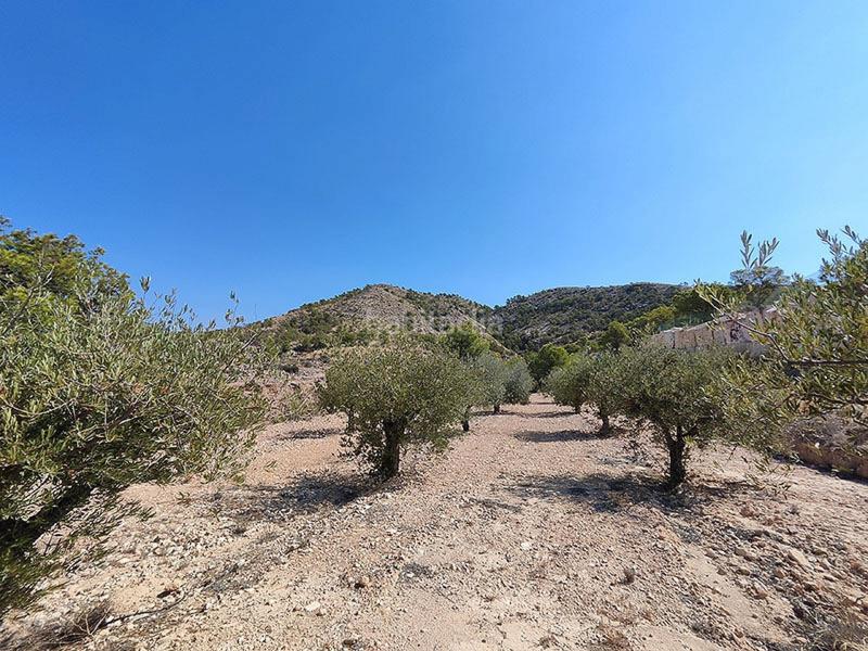 Foto de58ac43-7bee-4286-b9ea-c4302da11510. Casa con parcheggio in Fortuna