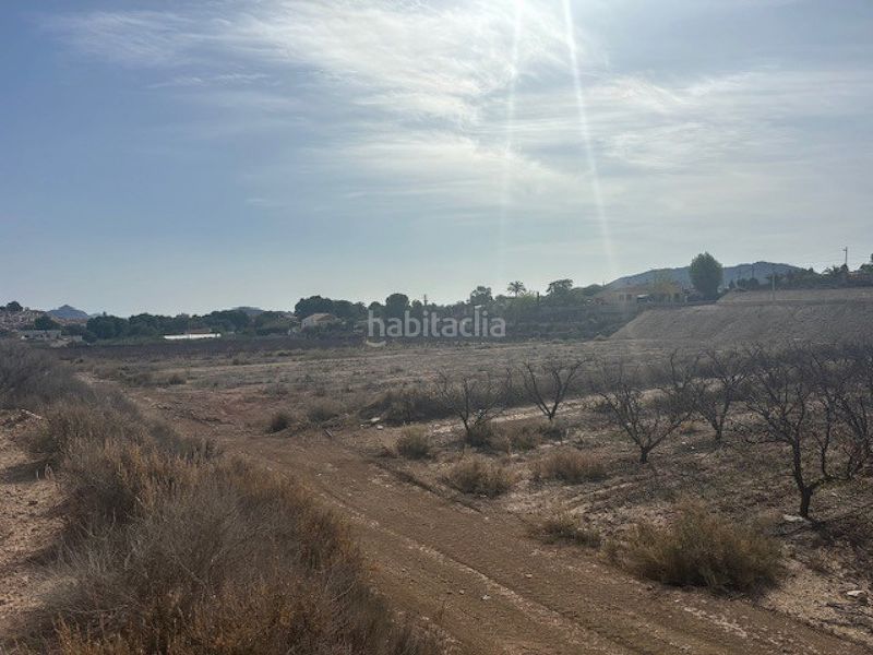 Foto a08b55c2-c8d6-43bf-ab8a-244f17fac4b6. Terreny residencial a Monòver