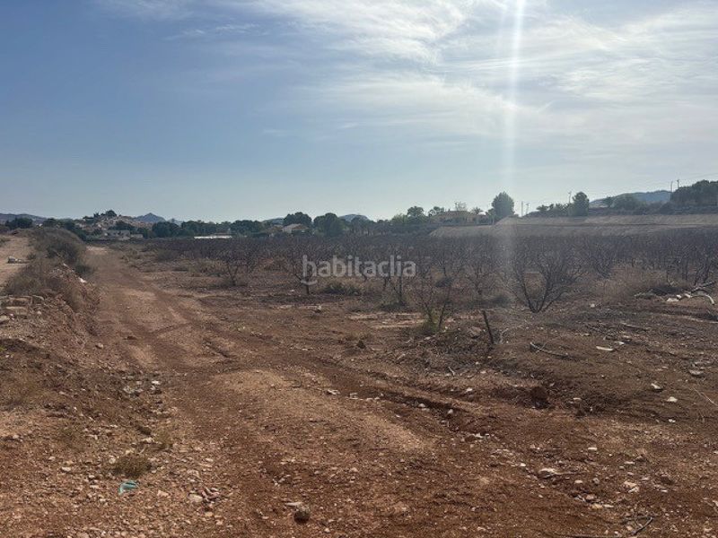 Foto b3703874-7a9d-4cd4-a071-919d5487ec4d. Terreny residencial a Monòver