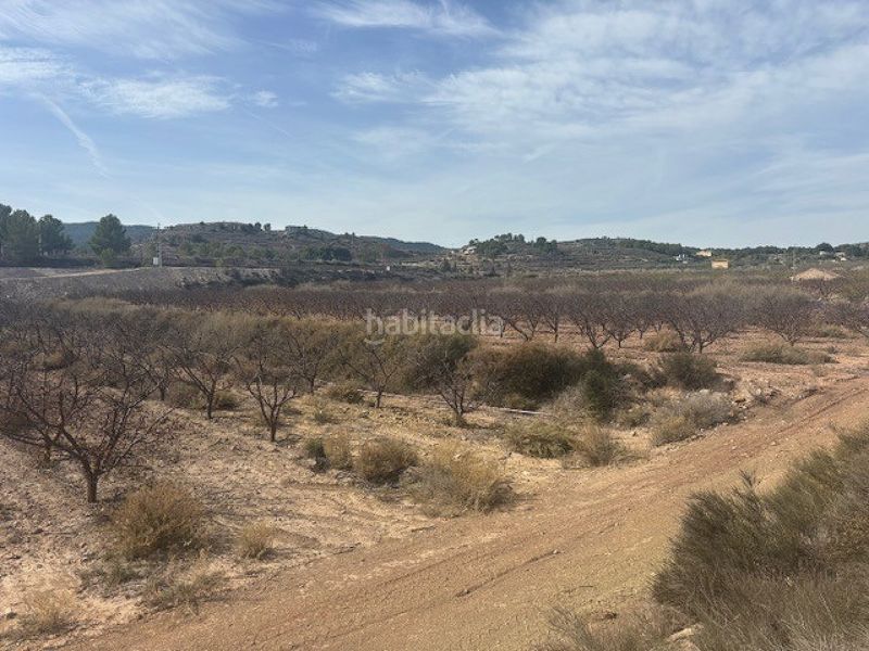 Foto e03b4ea9-30fa-42aa-a6a2-54bd8699b778. Terreny residencial a Monòver