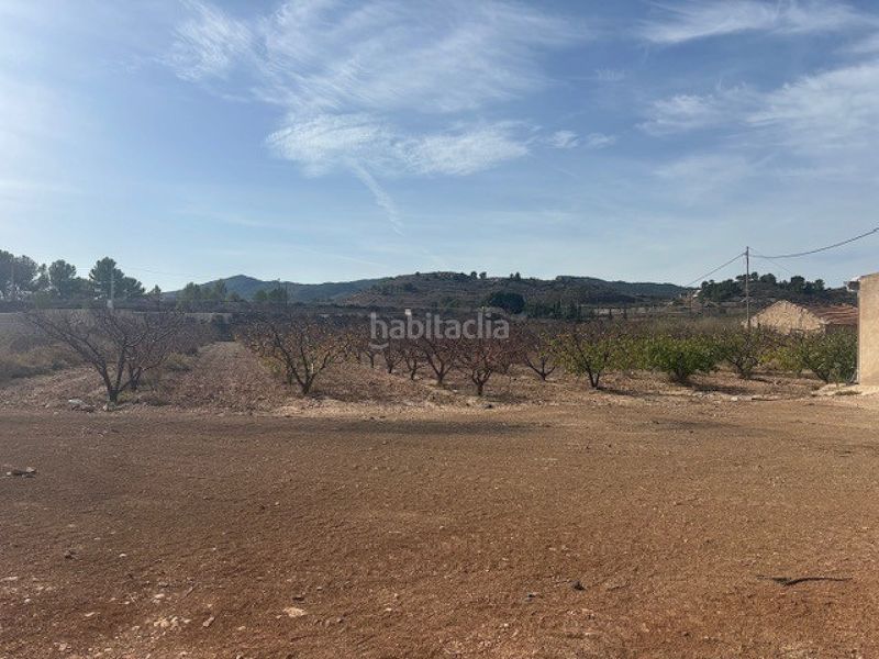 Foto e44fad9a-9374-477b-b486-f45c3477f569. Terreny residencial a Monòver