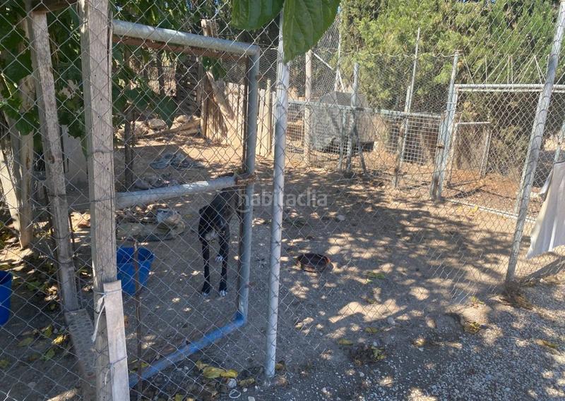 Foto c24c8b3e-a476-40d6-8f14-8a28cdb7067a. Casa en Sax