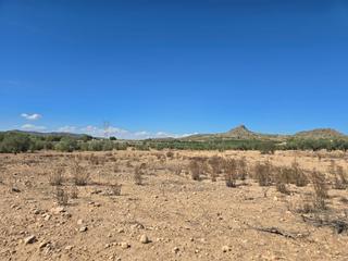 Terreno residenziale in Salinas