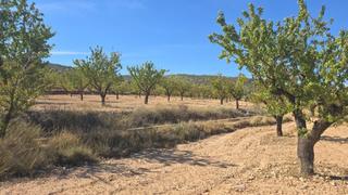 Residential Plot in Salinas
