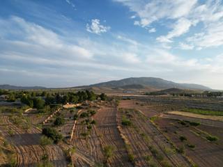 Terreny residencial a Pinoso