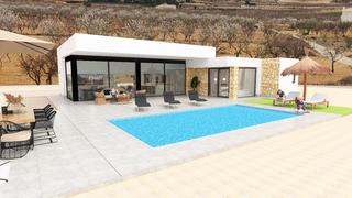 House in Pinoso