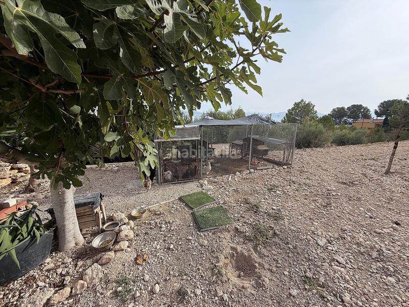 Foto 50e389dc-78f5-4751-8adb-5eaacd612666. Casa in Sax