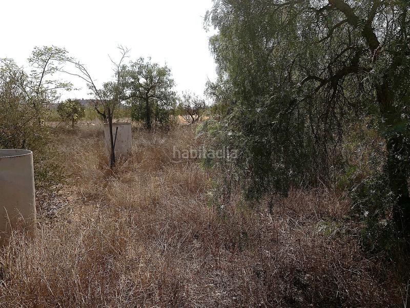 Foto 3b1a7174-8f1d-4c1b-b947-b91bb400ce49. Xalet amb aparcament a Abanilla