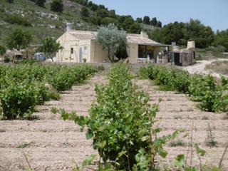 Country house in Yecla
