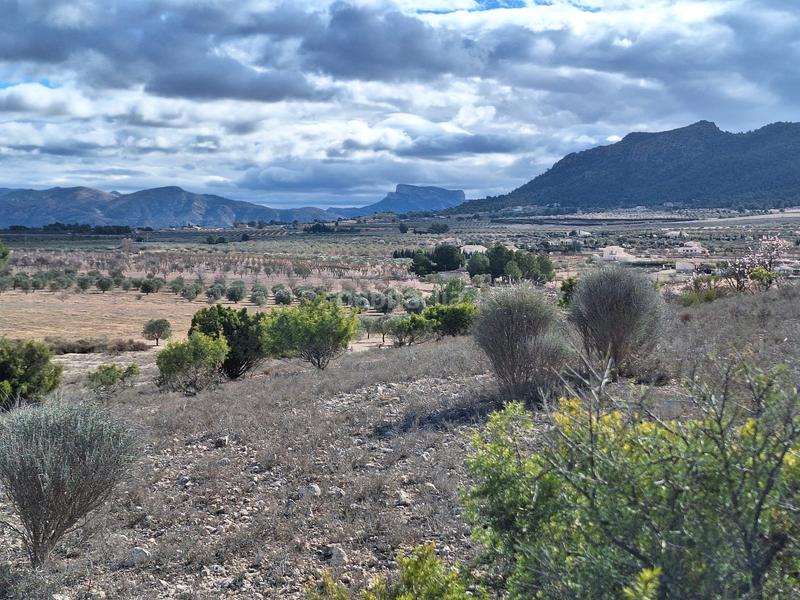 Foto a89be387-5857-4eb5-9f29-d283a7de7ab6. Terreno residencial en Salinas