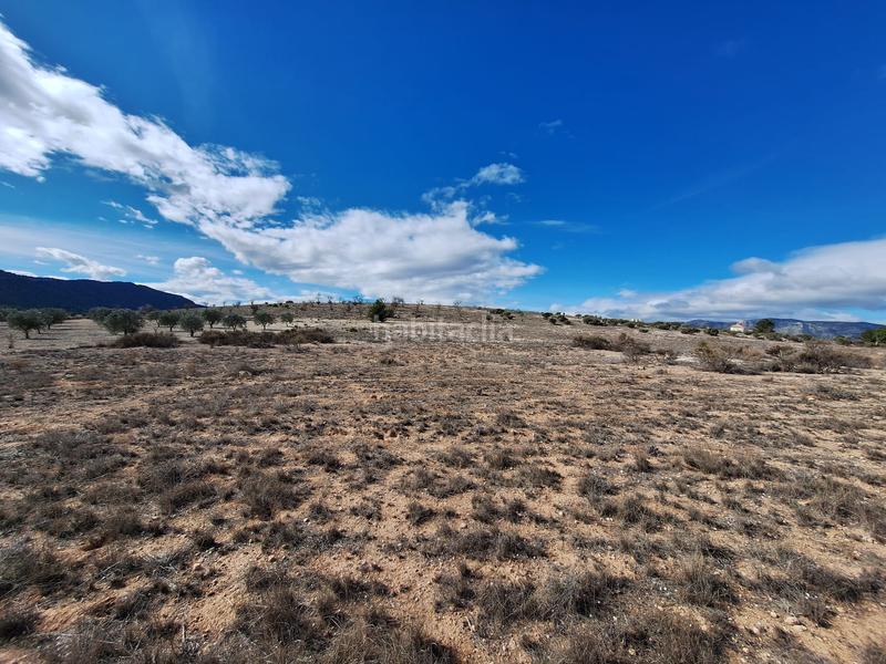 Foto c1d1650e-7b00-4603-85bc-7950954b7816. Terreno residencial en Salinas