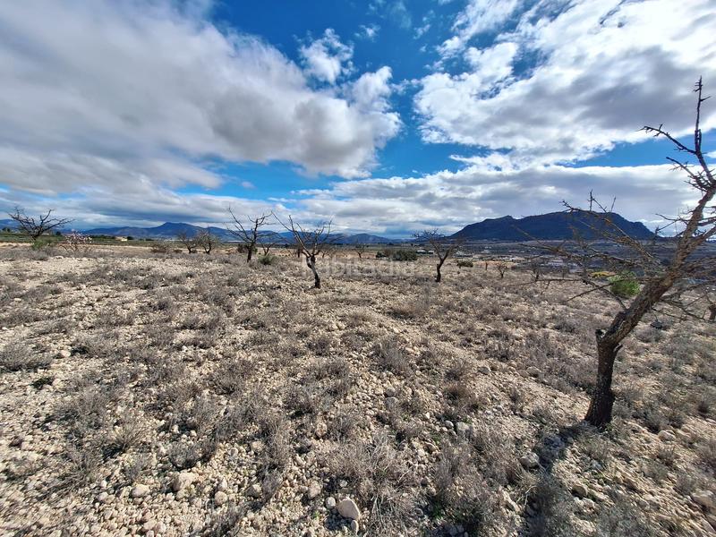 Foto d6832464-5ba8-41ef-9589-683c43a75661. Terreno residencial en Salinas