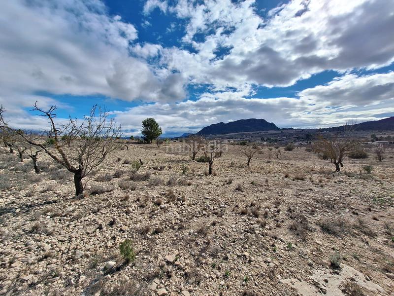 Foto eff40f25-77ad-4fbc-994d-346e91f3efd3. Terreno residencial en Salinas