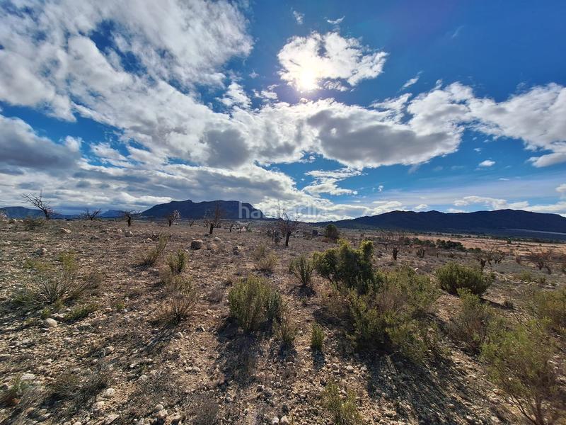 Foto 3e68ebe6-5dc1-4aab-aad1-a87347a14ada. Wohngrundstück in Salinas