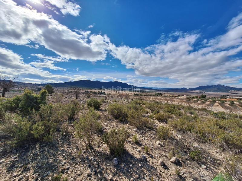 Foto 58bdef43-644b-4ef0-9cf4-de516090bd13. Wohngrundstück in Salinas