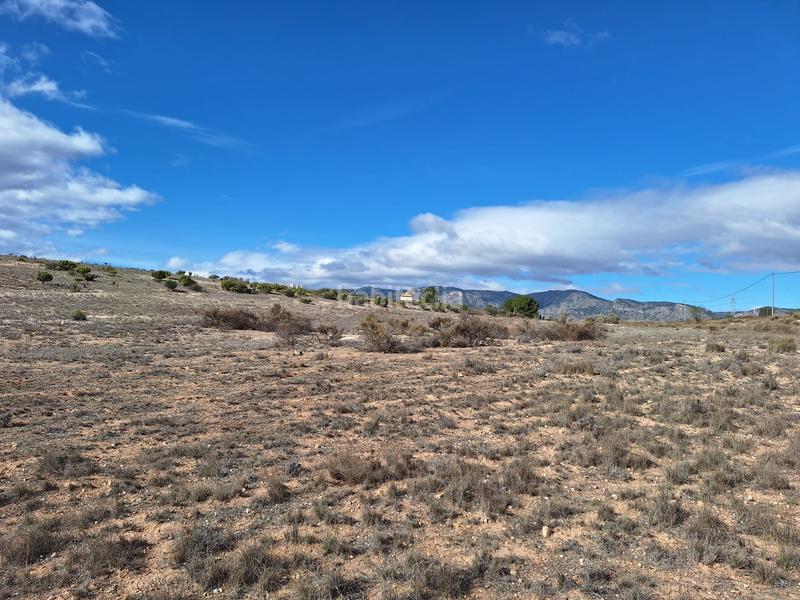 Foto a8d31448-a87b-4102-a12c-b33e3f5facfd. Wohngrundstück in Salinas