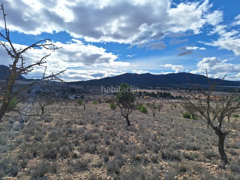 Foto d0904a77-de06-4d40-a9b5-7f96ef0e5510. Wohngrundstück in Salinas