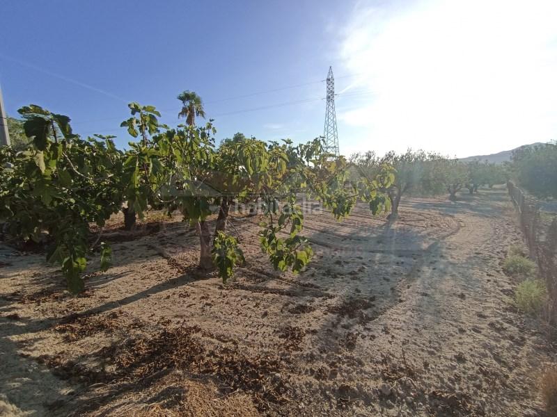 Foto b7864961-7291-4745-ba0e-b1d8eae10c1e. Casale in Sax