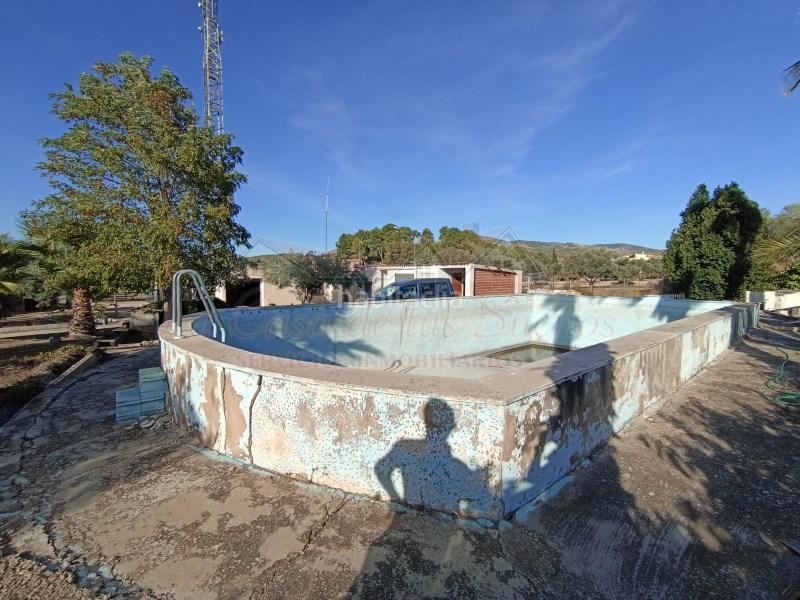 Foto 015fe3db-6a12-4b3e-9c43-575bd93c5238. Mas dans Sax