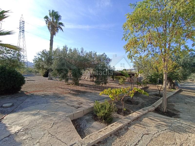 Foto ecfdf51b-fc27-43b3-a4aa-ee38298128c3. Mas dans Sax