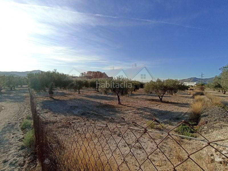 Foto 209e89b1-a376-490d-9f2d-c70c6893263a. Masia a Sax