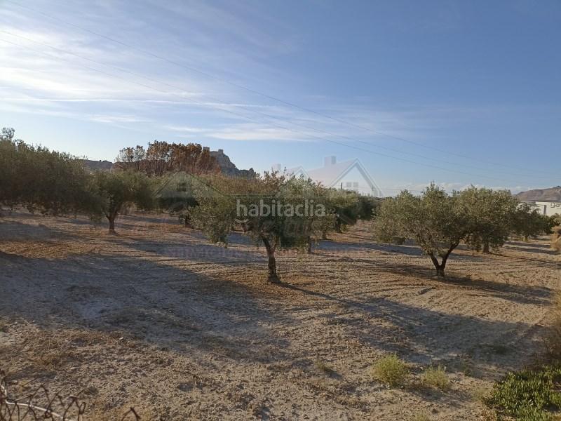 Foto ac64e721-6ef8-4a1c-b671-9f55f5b7ee29. Masia a Sax