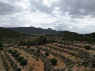 Residential Plot in Jumilla