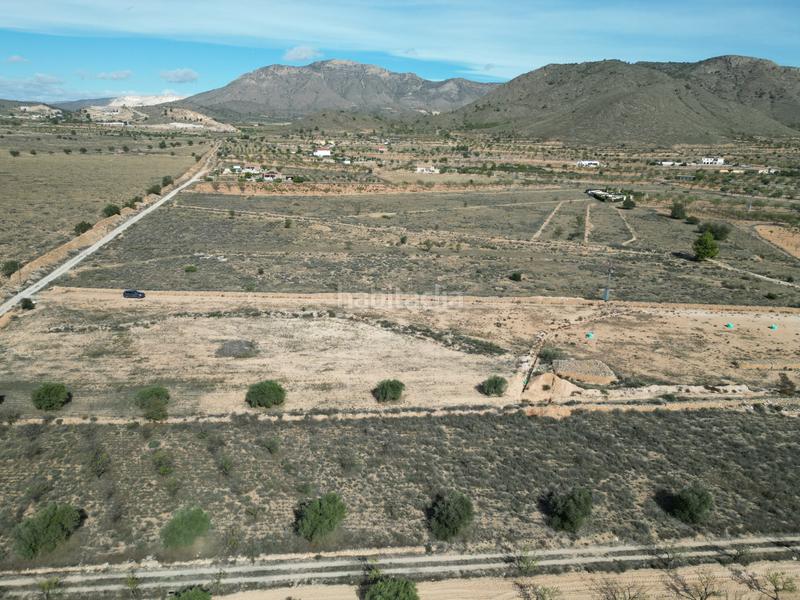 Foto 61487f1e-fbec-430b-a1f4-a36652f25273. Terreny residencial a La Murada - Los Vicentes Orihuela