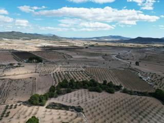 Residential Plot in Pinoso