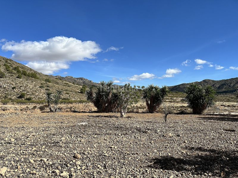 Foto befbe758-f04f-4c46-bb26-d720c4400e2d. Bauernhof in La Murada - Los Vicentes Orihuela