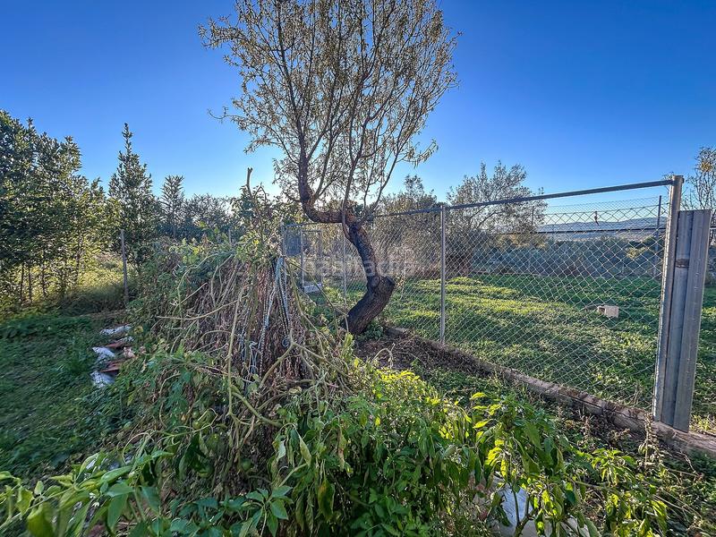 Foto 37d6f29c-61f8-4dac-a563-8179f26a7595. Casa a Ibi