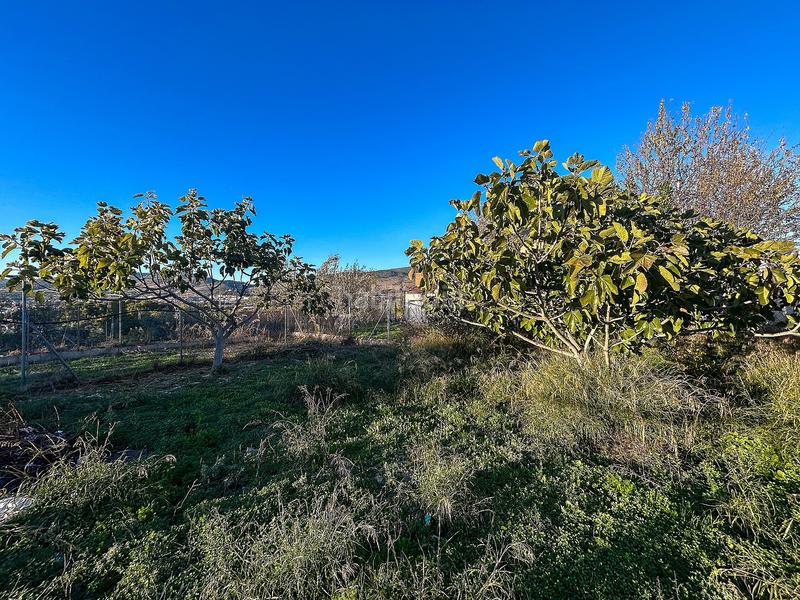 Foto 81efeedc-6a89-4641-8bf8-468562433e5f. Casa a Ibi