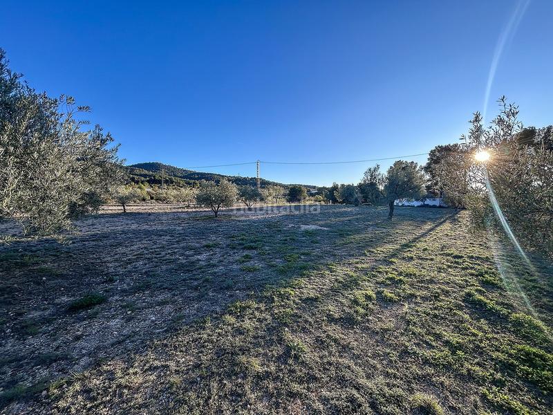 Foto 8d034d8e-e1e0-48ae-a778-e02edf5f2624. Casa a Ibi