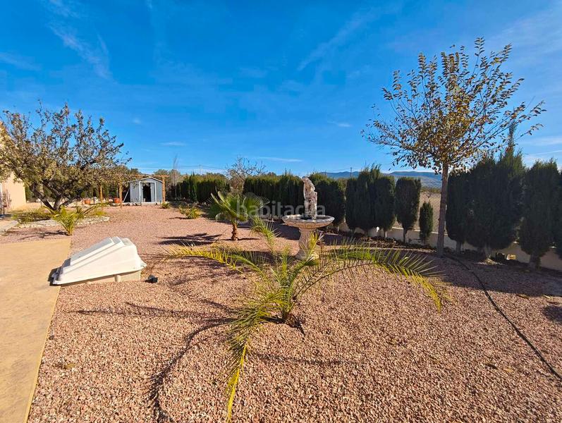 Foto 010dd8bd-c862-42a4-9ce0-dd8b3cc70eac. Casa en Sax