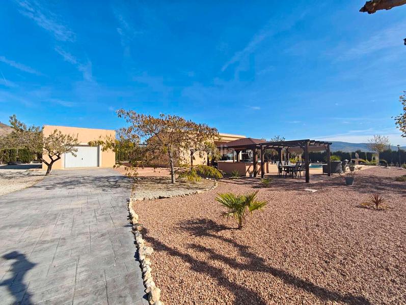 Foto 42c603ed-dc96-4adb-bddc-85b240523a22. Casa en Sax