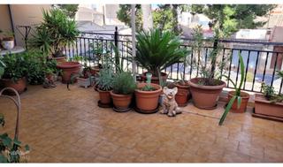 Casa adossada a Pinoso