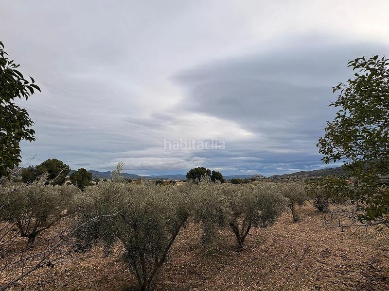 Foto ea54f551-86fd-4c72-8508-00fe081389a9. Terreny residencial a Onil